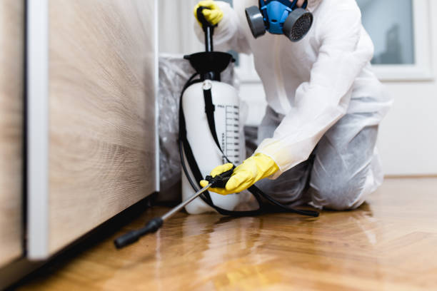 Best Residential Pest Control  in Sulligent, AL