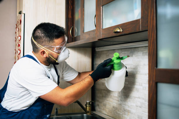 Best Local Pest Control Services  in Sulligent, AL