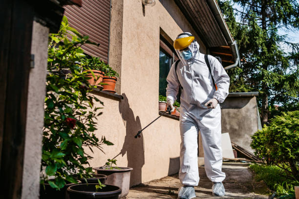 Flea Control Services in Sulligent, AL