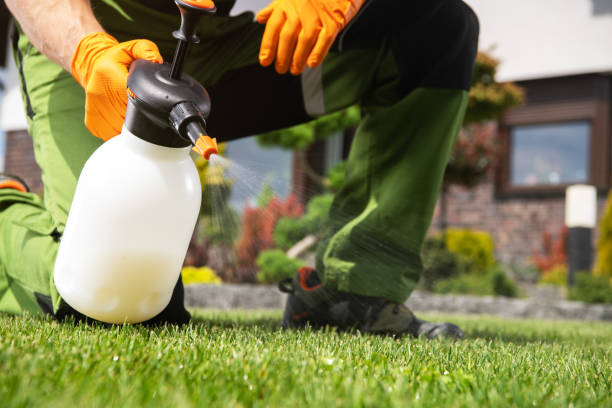 Best Pest Removal Services  in Sulligent, AL