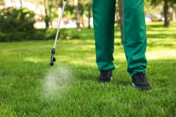 Best Termite Control Services  in Sulligent, AL