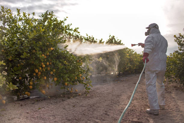 Best Pest Control Near Me  in Sulligent, AL
