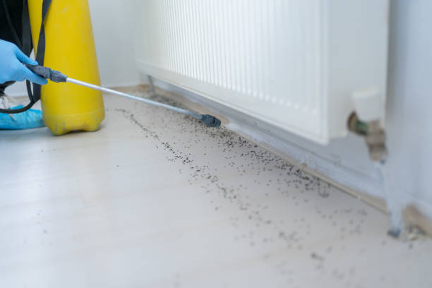 Best Cockroach Control Services  in Sulligent, AL