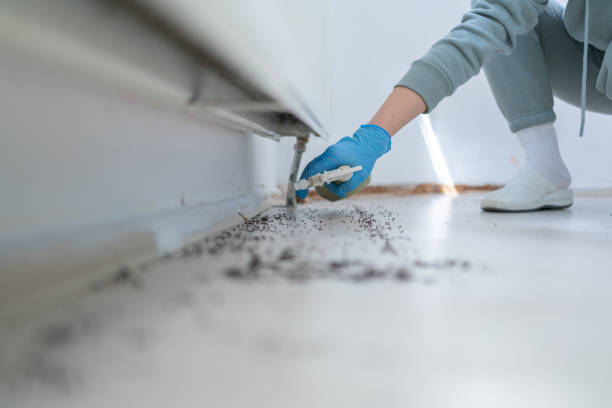 Best Emergency Pest Control  in Sulligent, AL