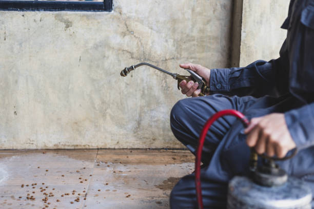 Best Best Pest Control Near Me  in Sulligent, AL